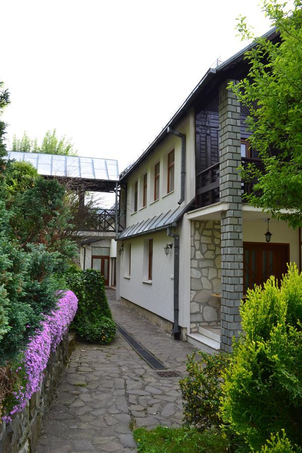 Hotel Casa Bota Vişeu de Sus Exterior foto