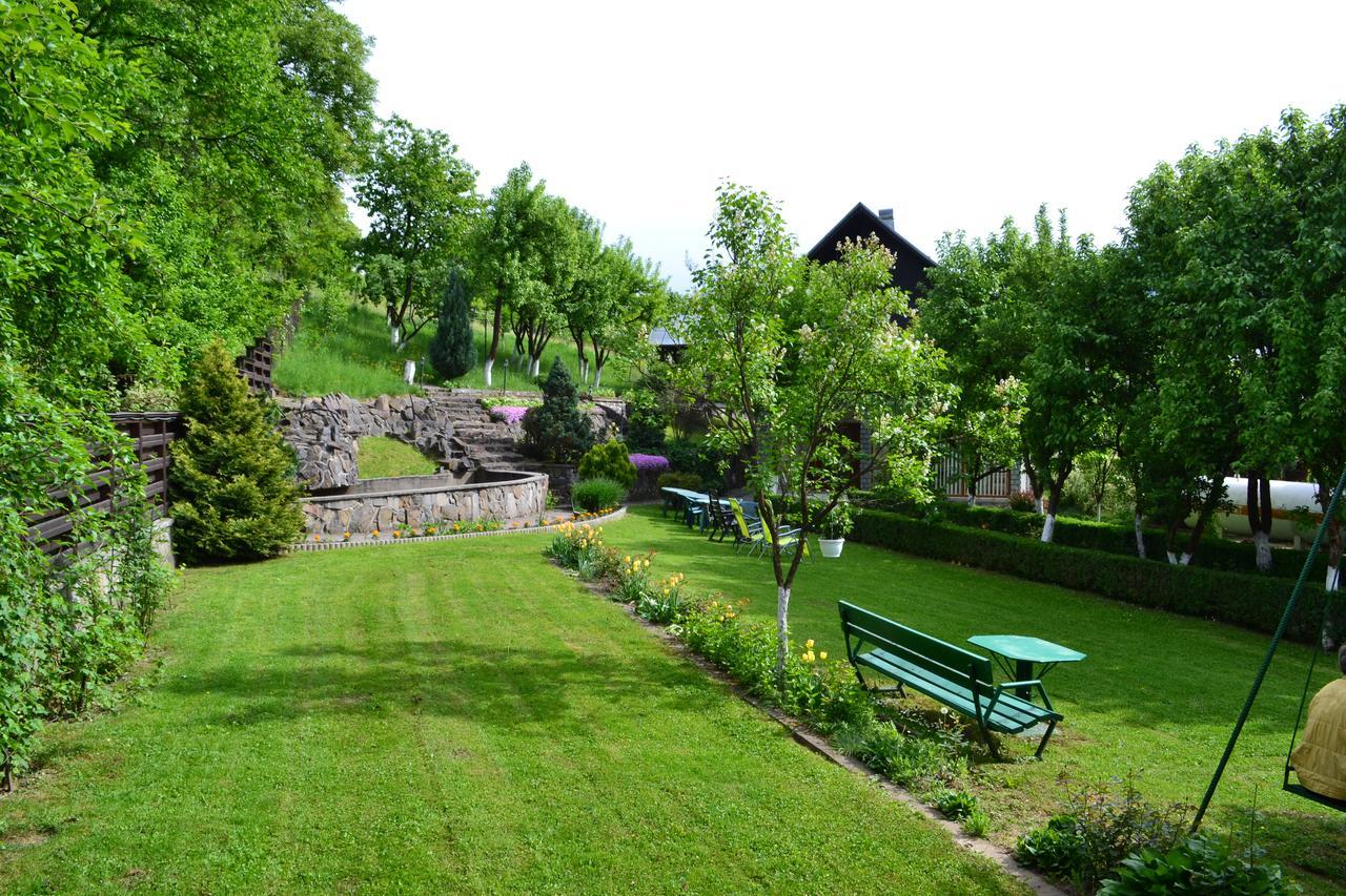 Hotel Casa Bota Vişeu de Sus Exterior foto